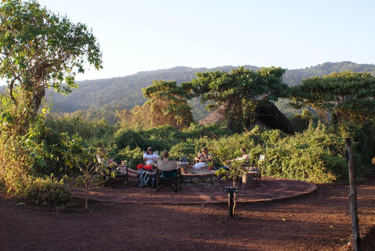 קראטו Crater Forest Tented Lodge מראה חיצוני תמונה