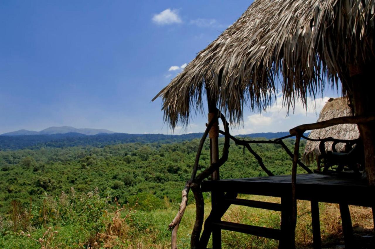קראטו Crater Forest Tented Lodge מראה חיצוני תמונה